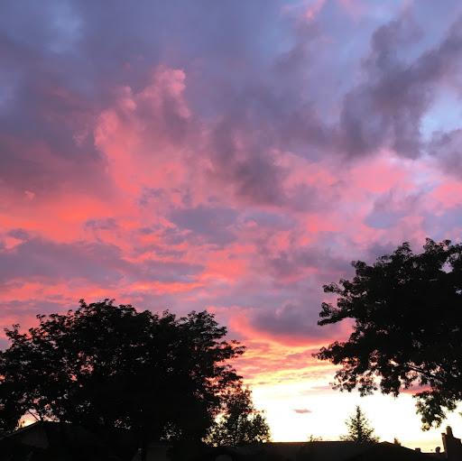 Bobbie Green Photo 36