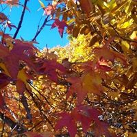 Shannon Acosta Photo 15