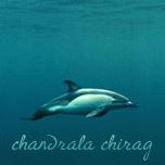 Chirag Patel Photo 13