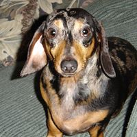 Deborah Robison Photo 12