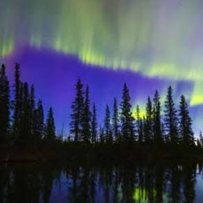 Roberto Hernandez Photo 26 Roberto Hernandez Photo 26