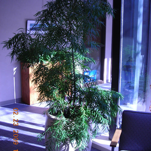 Kathy Valentine Photo 38