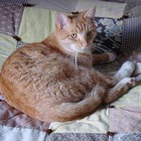 Roger Ball Photo 13 Roger Ball Photo 13