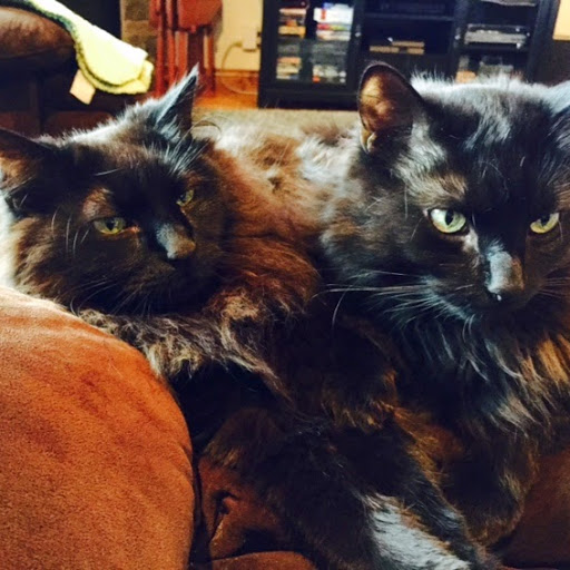 Joanie Hanlon Photo 2