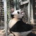 Stephen Lin Photo 36