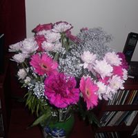 Dorothy Mcpherson Photo 7