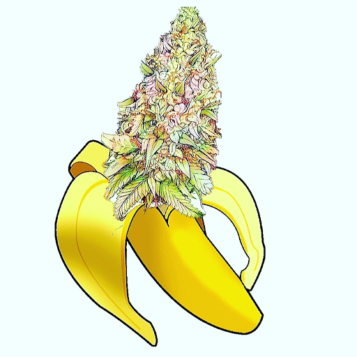 Debbie Mcmillan Photo 7