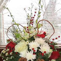 Nancy Beebe Photo 23