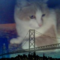 Princess Monroe Photo 4