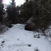 Robin Mcdougall Photo 19