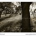 Dan Groves Photo 23