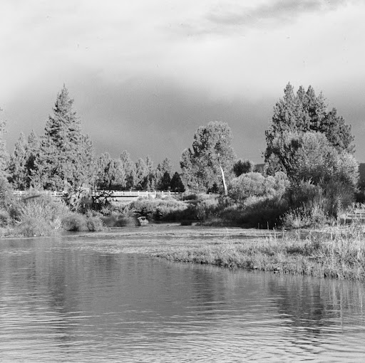 Kelly Murray Photo 17