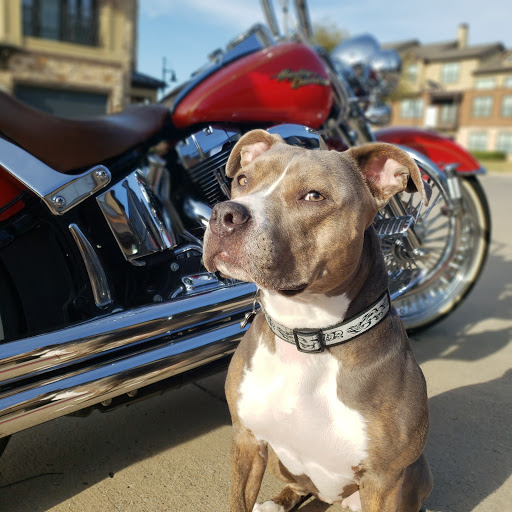 Patricia Mayo Photo 40