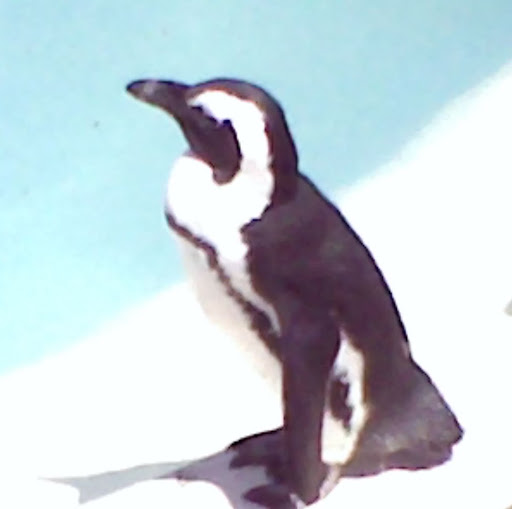 Katrina Stone Photo 11