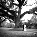 Kristy Thomas Photo 42