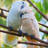 Helen Jenkins Photo 12