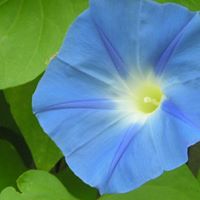 Mary Madison Photo 33