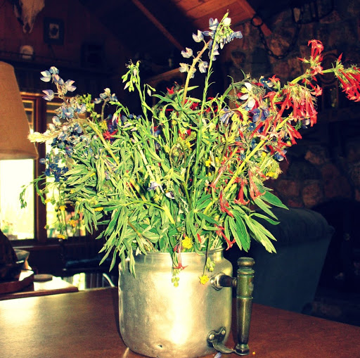 Shelly Cohen Photo 31