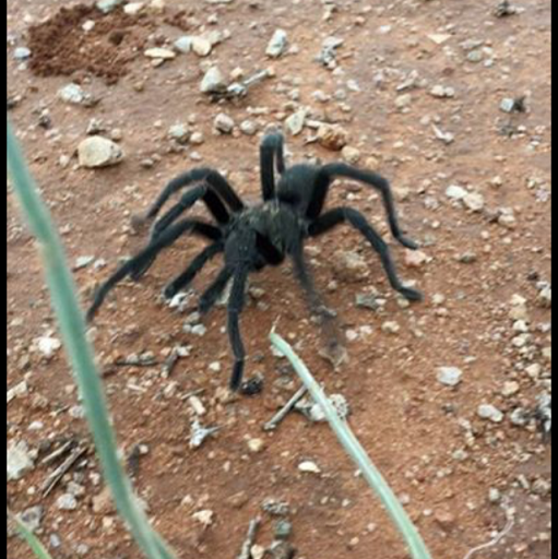 Miguel Montes Photo 20