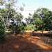 Vuong Vu Photo 15
