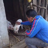 Willie Gomez Photo 19