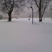 Bobby Prince Photo 9