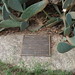 Nancy Woolley Photo 22