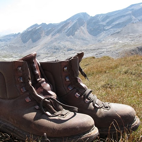 Julia Schmitt Photo 4