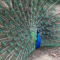 Mary Landers Photo 22