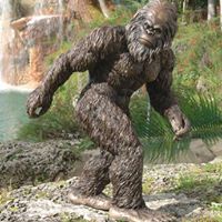 George Zimmerman Photo 34