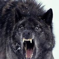 Bob Matthews Photo 10