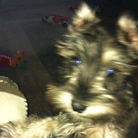 Beverly Griffin Photo 13