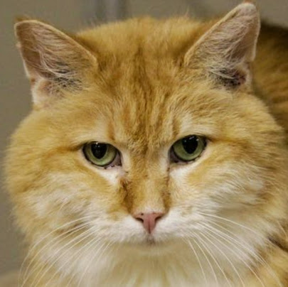 Marcia Johnson Photo 38 Marcia Johnson Photo 38