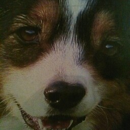 Teresa Mills Photo 34