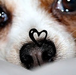 Elizabeth Kurtz Photo 31