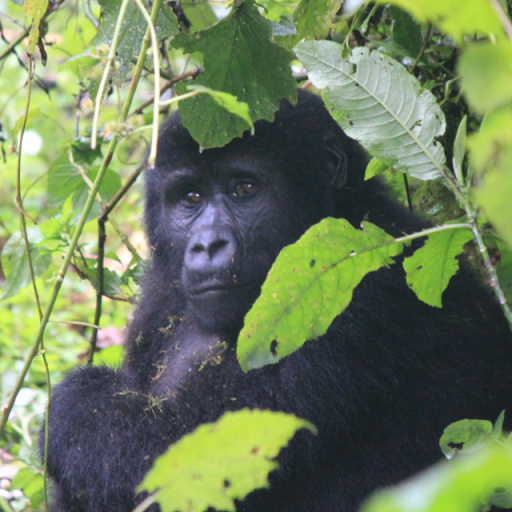 Curtis Allen Photo 11