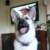 Nancy Lindsay Photo 21