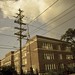 Samuel Green Photo 10