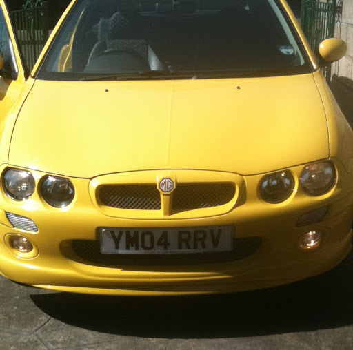 Daniel Whiting Photo 10