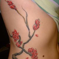 Jill Madison Photo 11