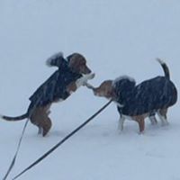 Christina Jernigan Photo 17