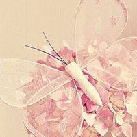 Angel Smith Photo 31