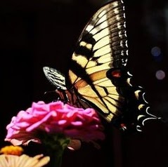 Kathleen Langford Photo 6