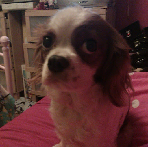 Robyn Brooks Photo 17