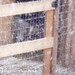 Jack Oberg Photo 8