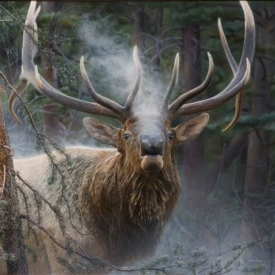 Jane Lancaster Photo 27 Jane Lancaster Photo 27