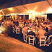 Carole Mooney Photo 14