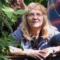 Cynthia Albrecht Photo 22