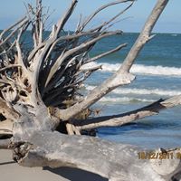 Lyn Mcdaniel Photo 8