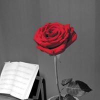 Catherine Mcgregor Photo 11